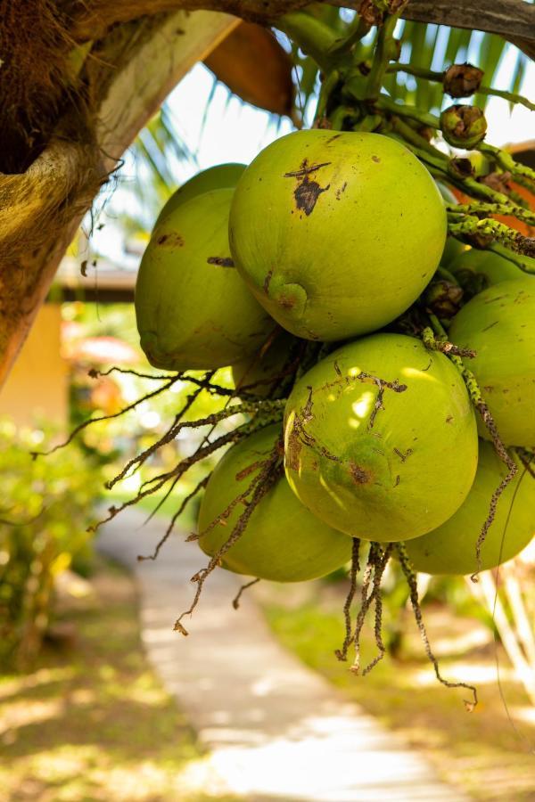 Raiatea Sur Mer Opoa Zewnętrze zdjęcie