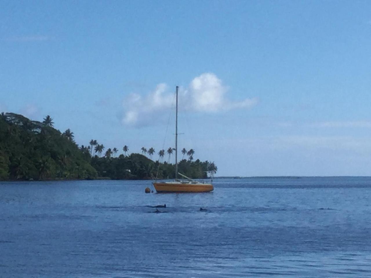 Raiatea Sur Mer Opoa Zewnętrze zdjęcie